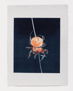 Monotype