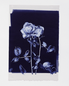 Monotype