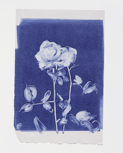 Monotype