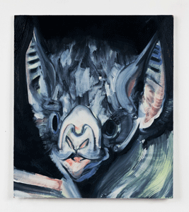 Portrait Night bat