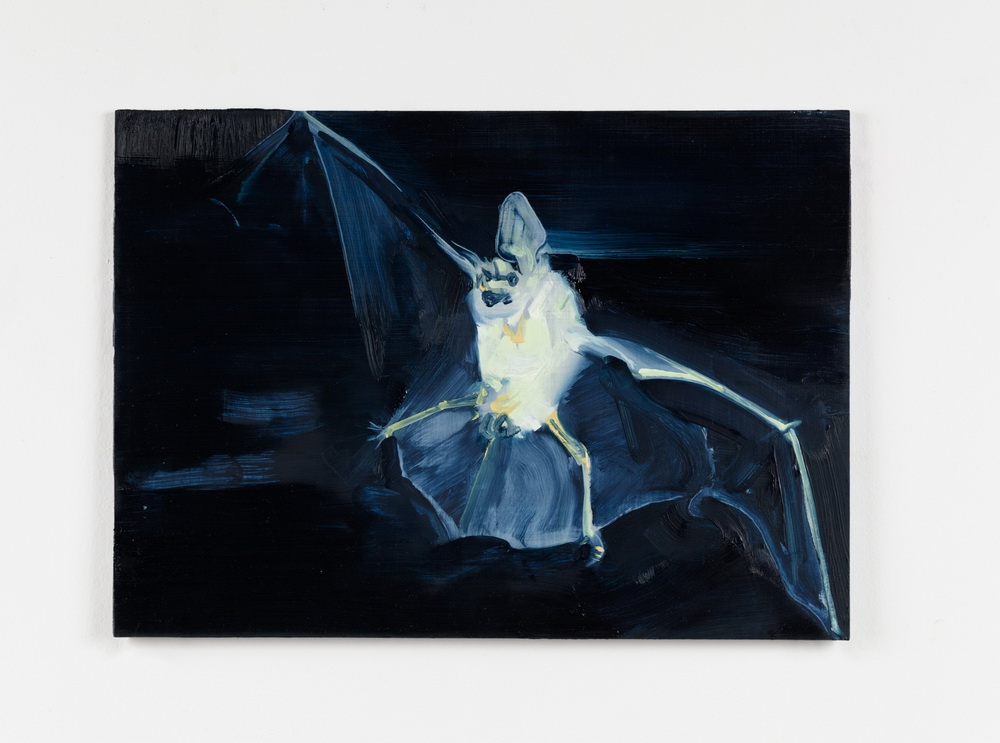 Exposed Night Bat