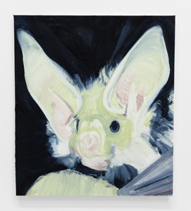 Long ears