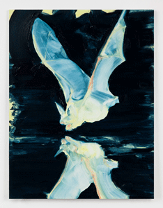 Reflected Night Bat