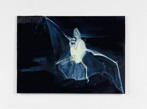 Exposed Night Bat