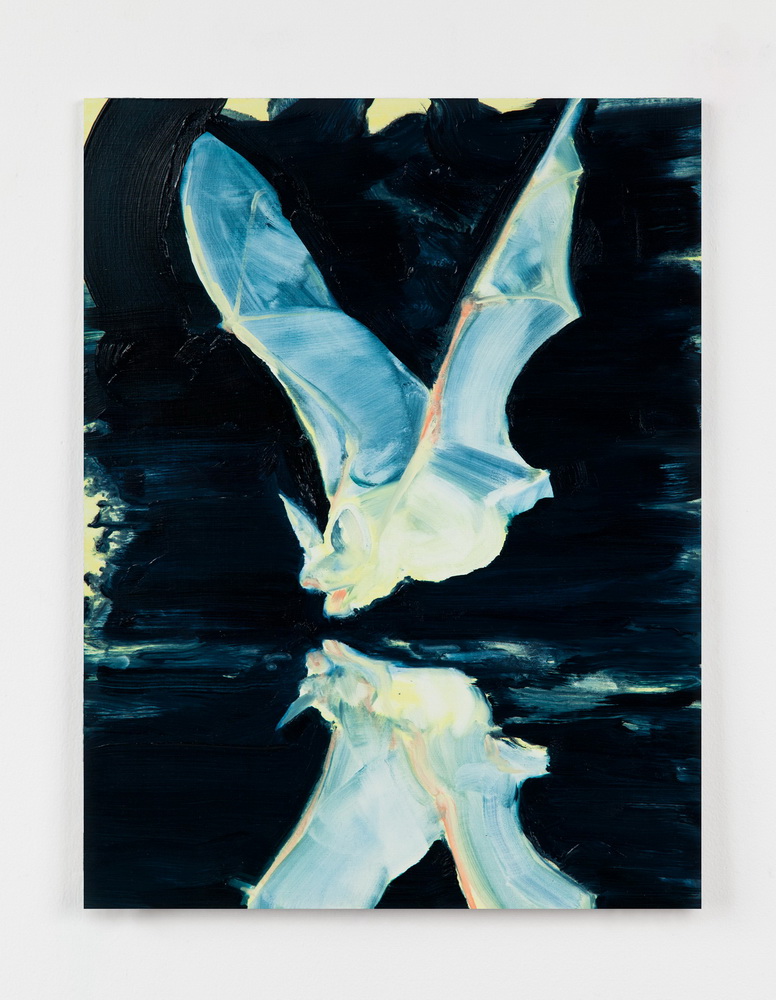 Reflected Night Bat